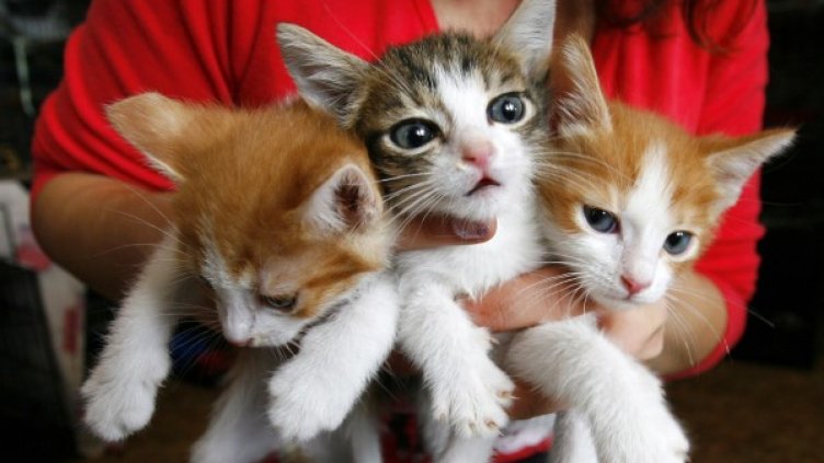 Снимка: Архив Reuters