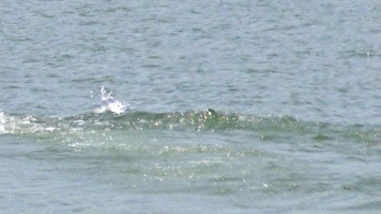 Снимка: архив, БулФото