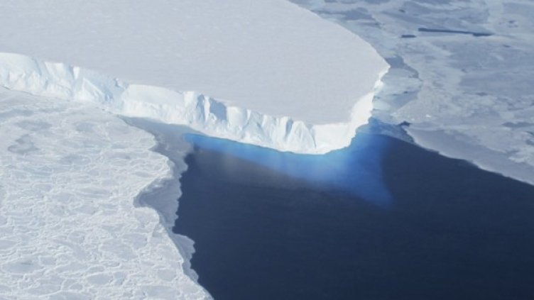 Снимка: Reuters, архив