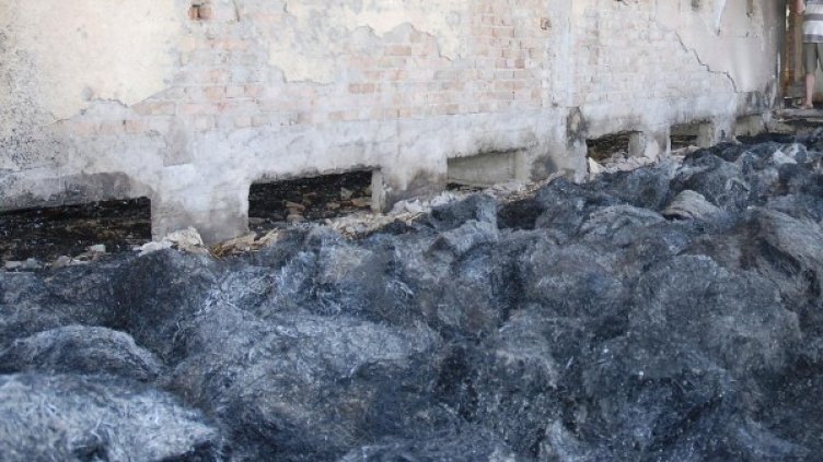 Снимка: Булфото