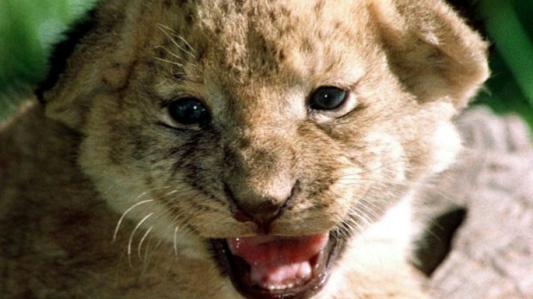 Снимка: архив, Ройтерс