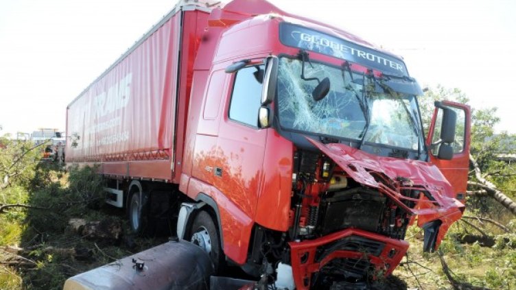 Снимка: архив, Булфото