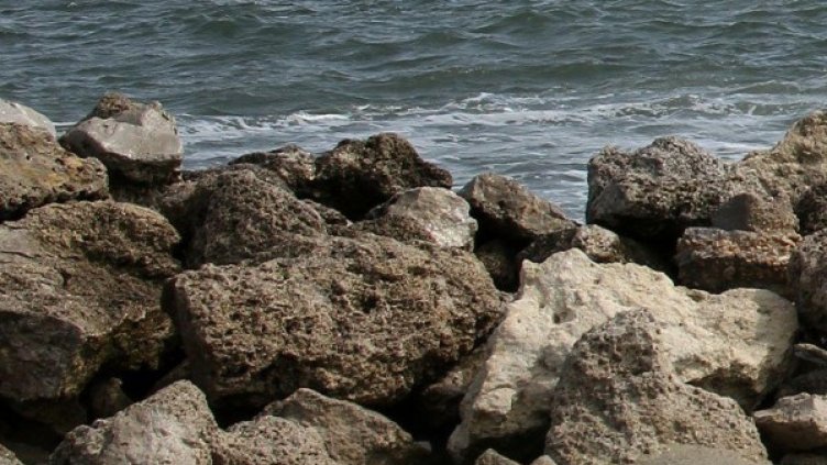 Снимка: Булфото, архив