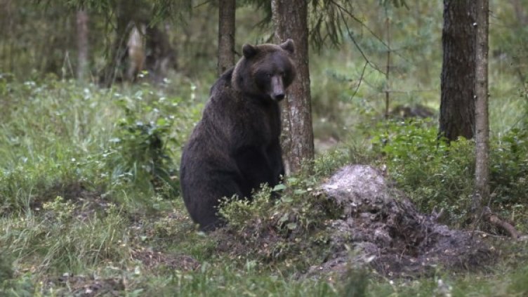 Снимка: архив, Reuters