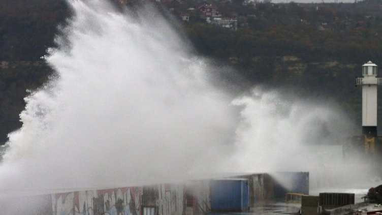 Снимка: архив Булфото