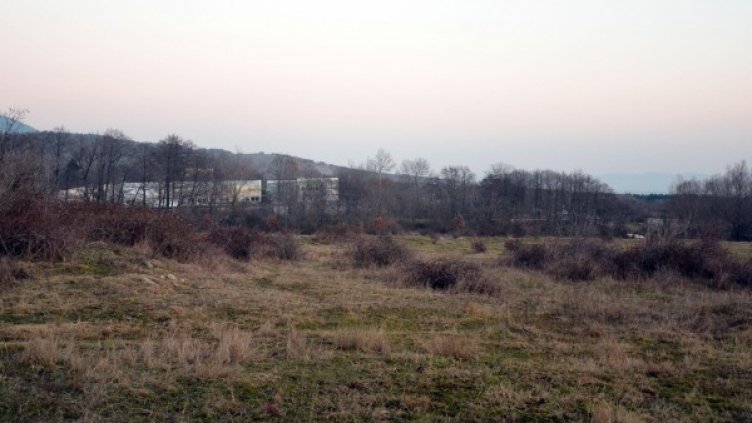 Снимка: Булфото