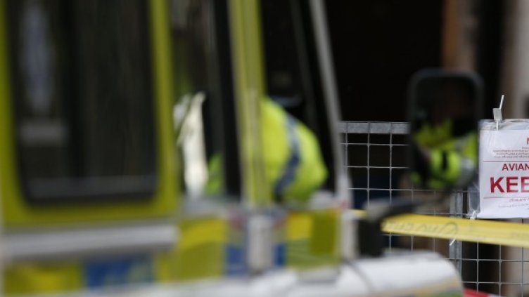 Снимка: архив Reuters