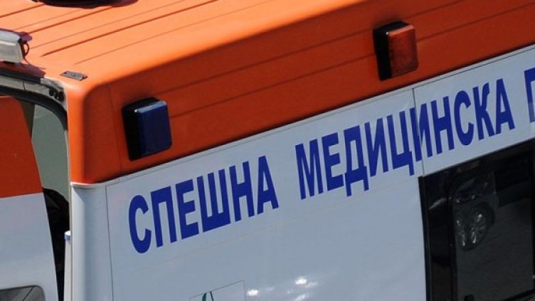 Снимка: Булфото, архив