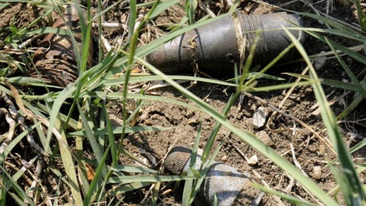 Снимка: Булфото, архив