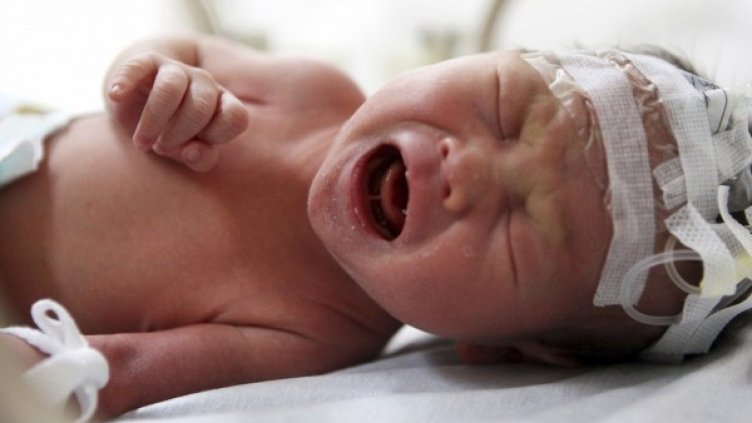 Снимка: Reuters, архив
Снимка: НСИ
Снимка: НСИ