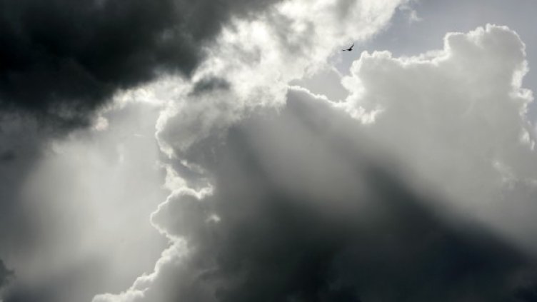 Снимка: Reuters, архив