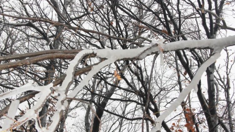 Снимка: Булфото, архив