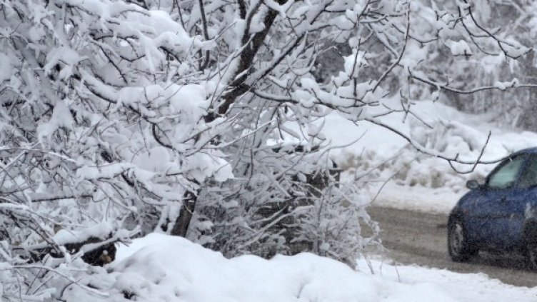 Снимка: архив, БТА