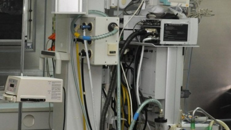 Снимка: архив, БулФото