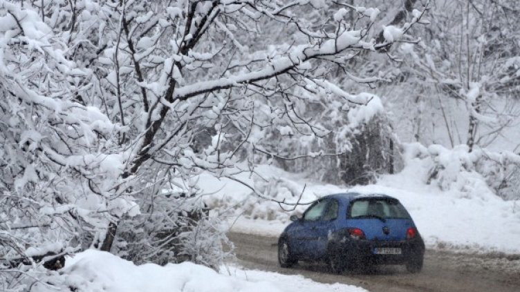 Архив: Булфото