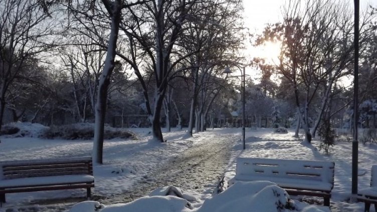 Зимата в Силистра. Снимка: БТА