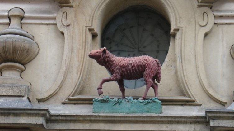 Снимка: freeimages.com