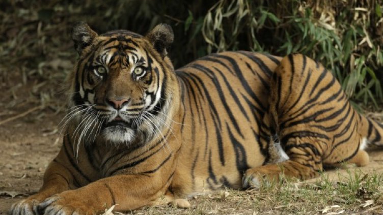 Снимка: архив Reuters