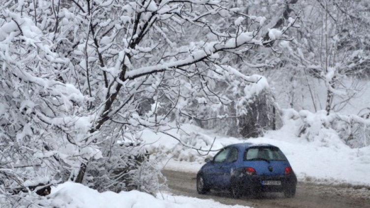 Снимка: Архив БТА
