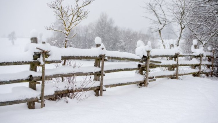 Снимка: Архив БТА