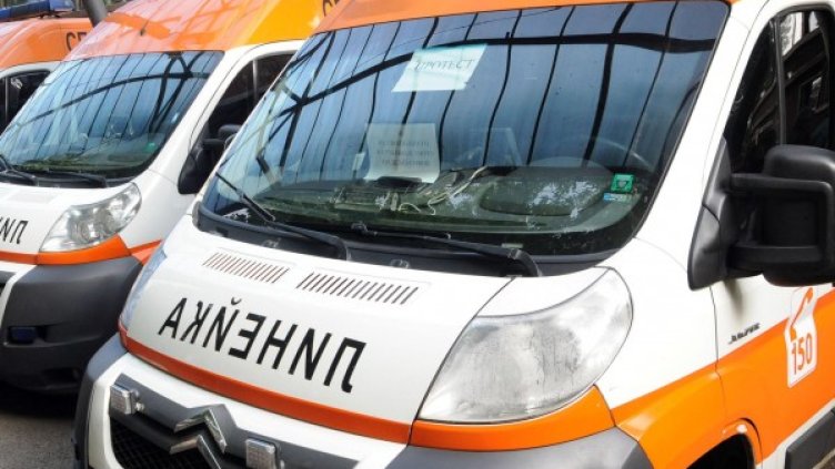 Снимка: архив Булфото