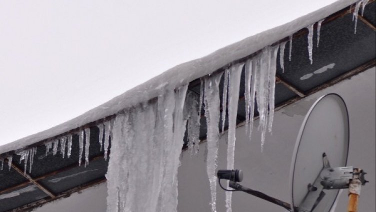 Снимка: Булфото