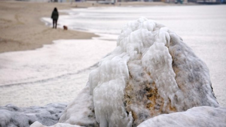 Снимка: БулФото