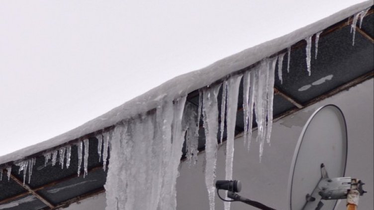 Снимка: Булфото, архив