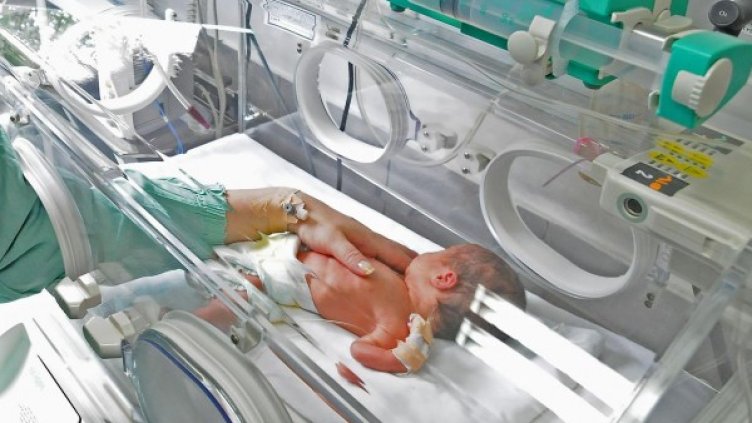 Снимка: архив Булфото