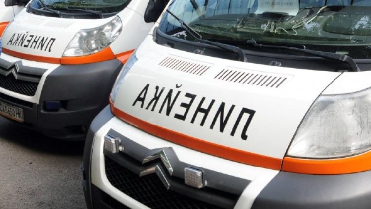 Снимка: Булфото, архив