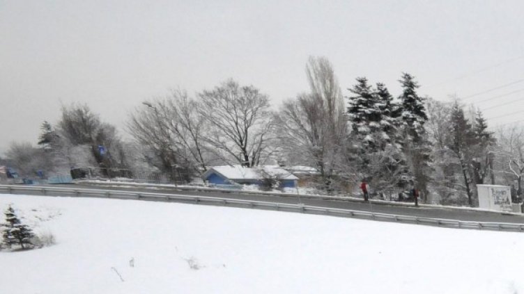 Архив: Булфото