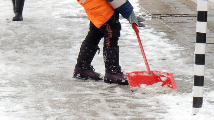 Снимка: Булфото, архив