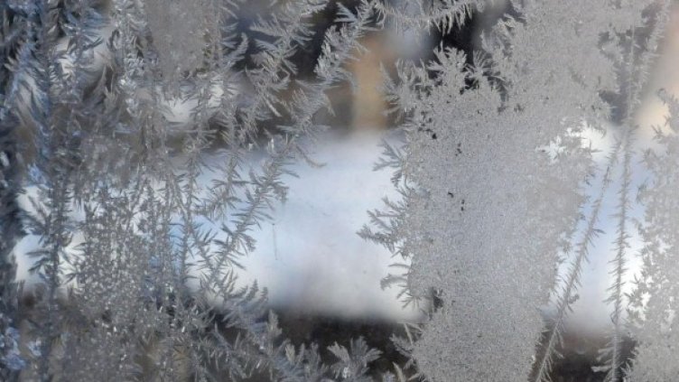 Снимка: архив Булфото