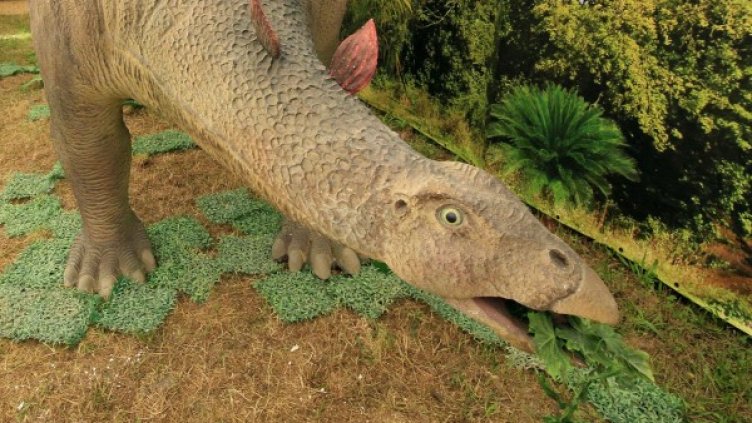 Макет на диниозавър. Снимка, архив Булфото