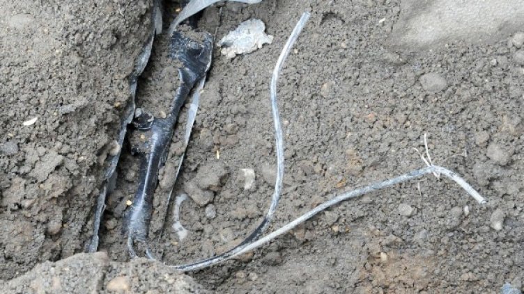 Снимка: Булфото, архив