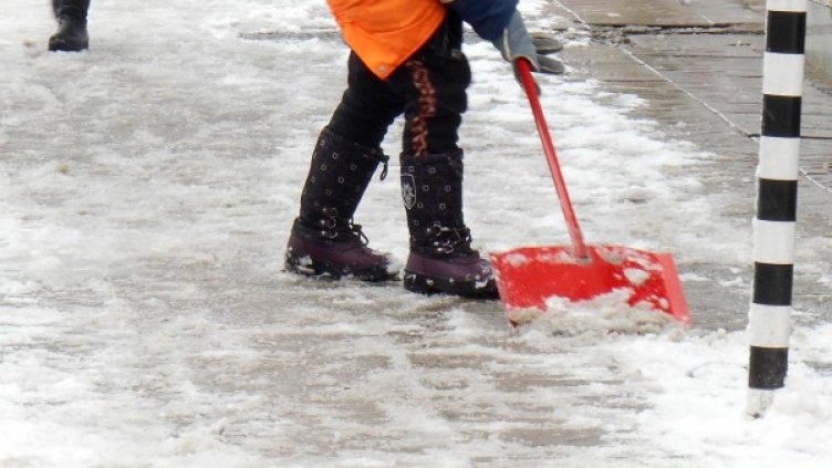 Снимка: Булфото, архив