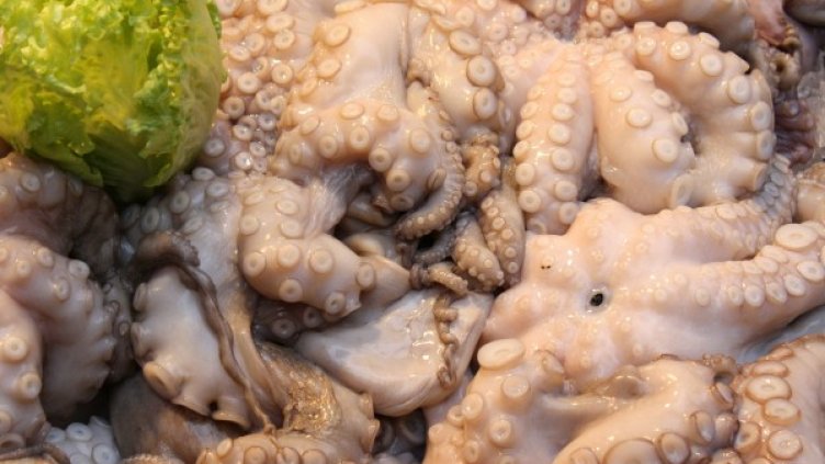 Снимка: freeimages.com