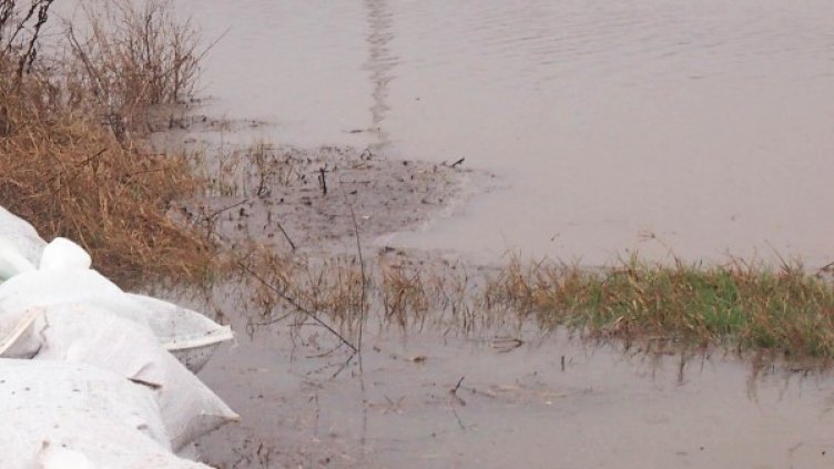 Снимка: архив, БулФото