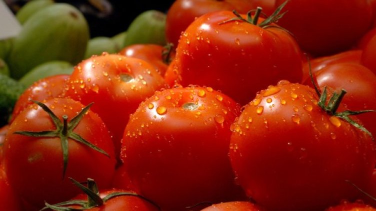 Снимка: архив, БулФото