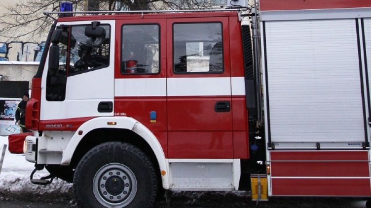 Снимка: Архив Булфото