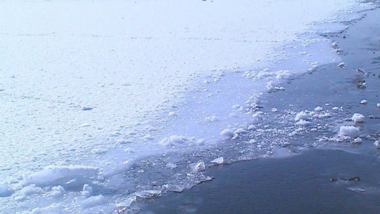 Снимка: Архив Булфото