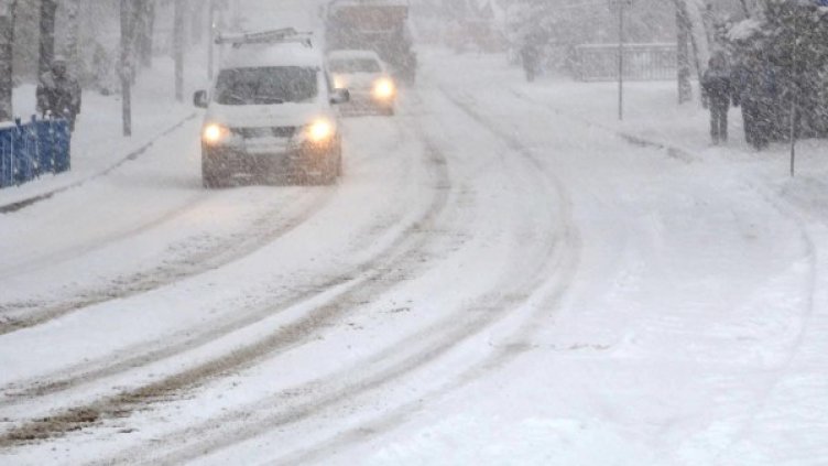 Снимка: архив, БулФото