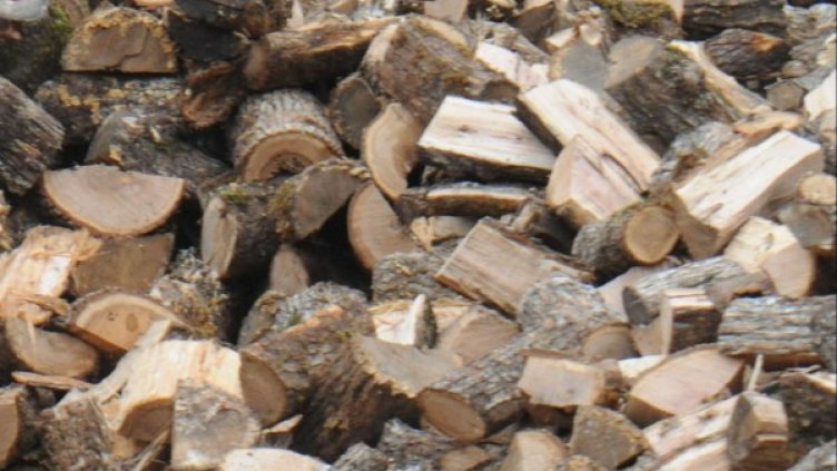 Снимка: Булфото, архив