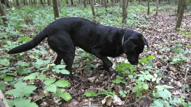 Снимка: Архив Reuters