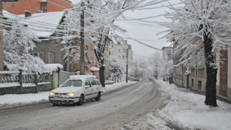 Архив: Булфото