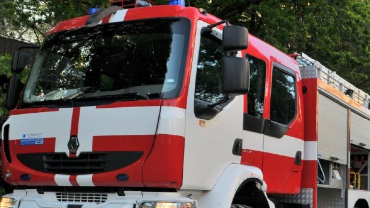 Снимка: архив, Булфото