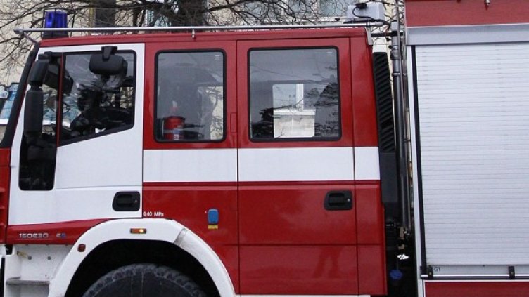 Архив: Булфото