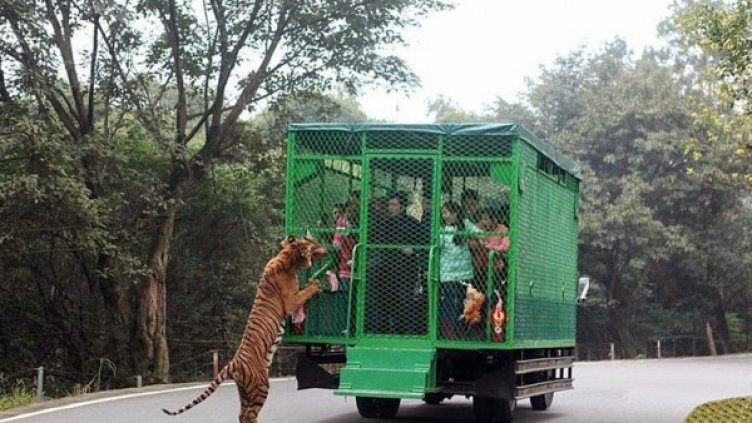 Снимка: amusingplanet.com