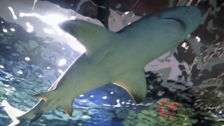 Снимка: архив, Ройтерс