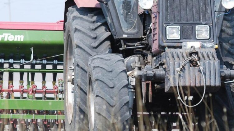 Снимка: архив, БулФото